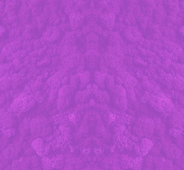 P_anos para o futuro