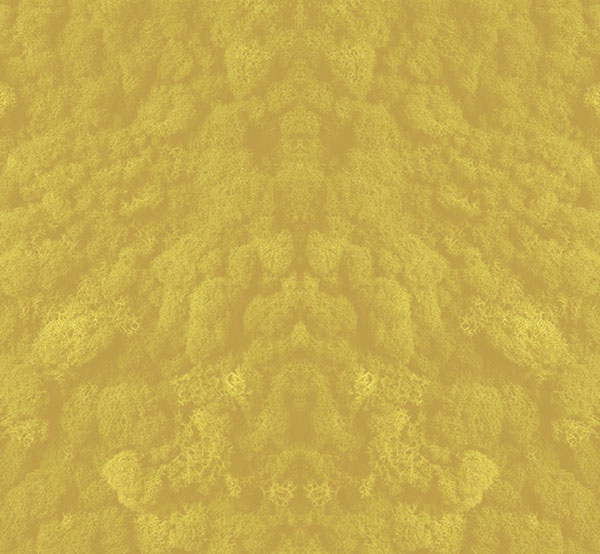 P_anos para o futuro