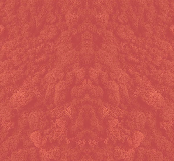 P_anos para o futuro